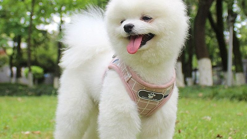 药品冷库安装，保障药品安全的每一步